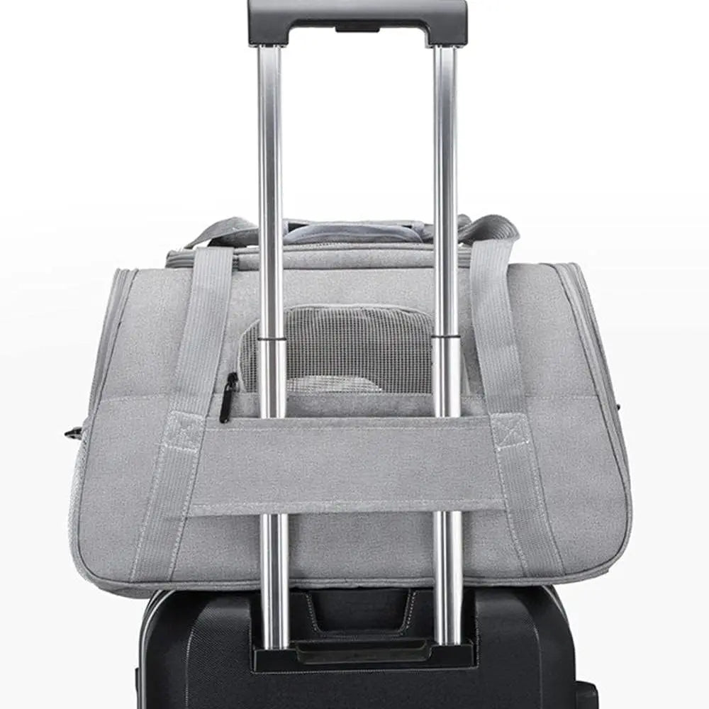 Prowalk carrier for cats medium, safety and comfort on your trips, prepare your pet for safe and comfortable adventures with our animal carrier bag, pet carpons in turquoise blue, pink, purple